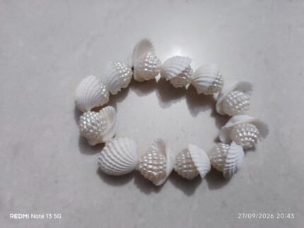 Sea Shell bracelets